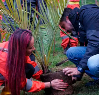 jornada de siembra de arboles