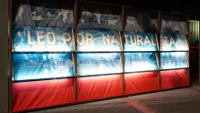 Pabellón LEO Por Naturaleza en la FILBo